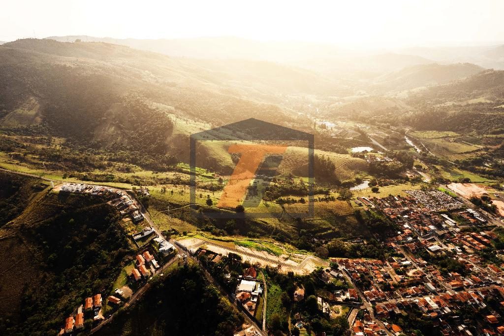 DJI_0239.jpg