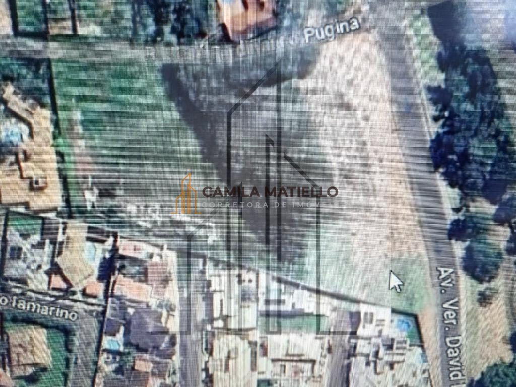 Av._David_Moro.jpg